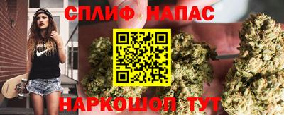 индика Аша