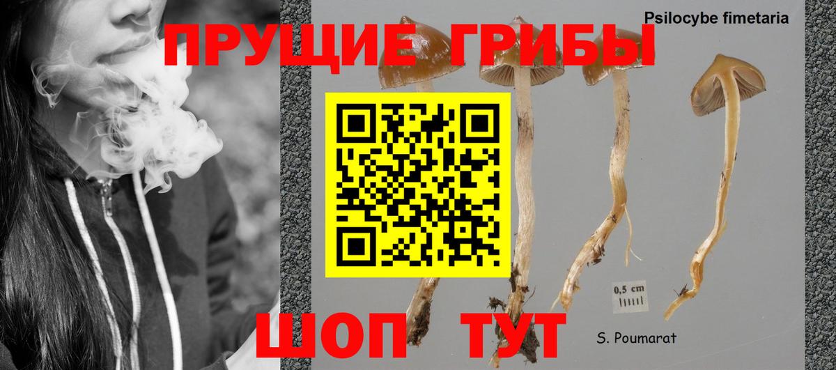 Галлюциногенные грибы мухоморы Коркино